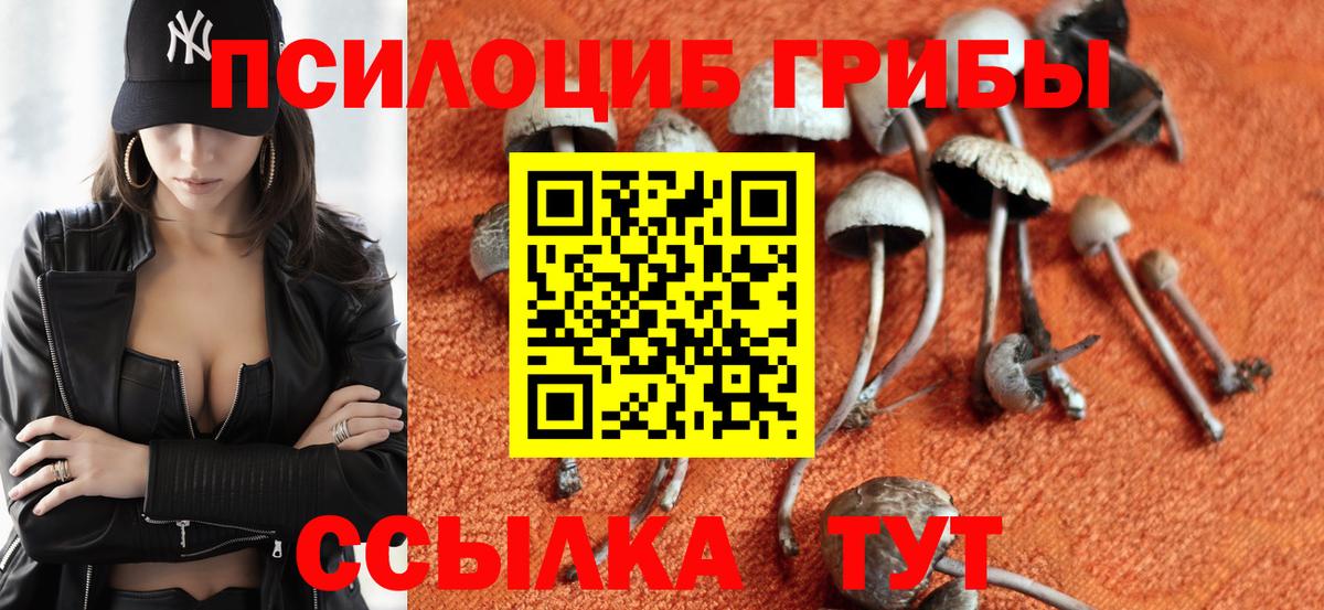 Галлюциногенные грибы MAGIC MUSHROOMS Каменск-Уральский